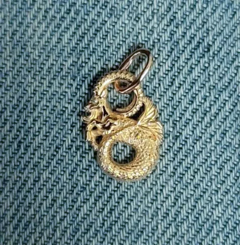 Capricorn pendant real jewelry photo
